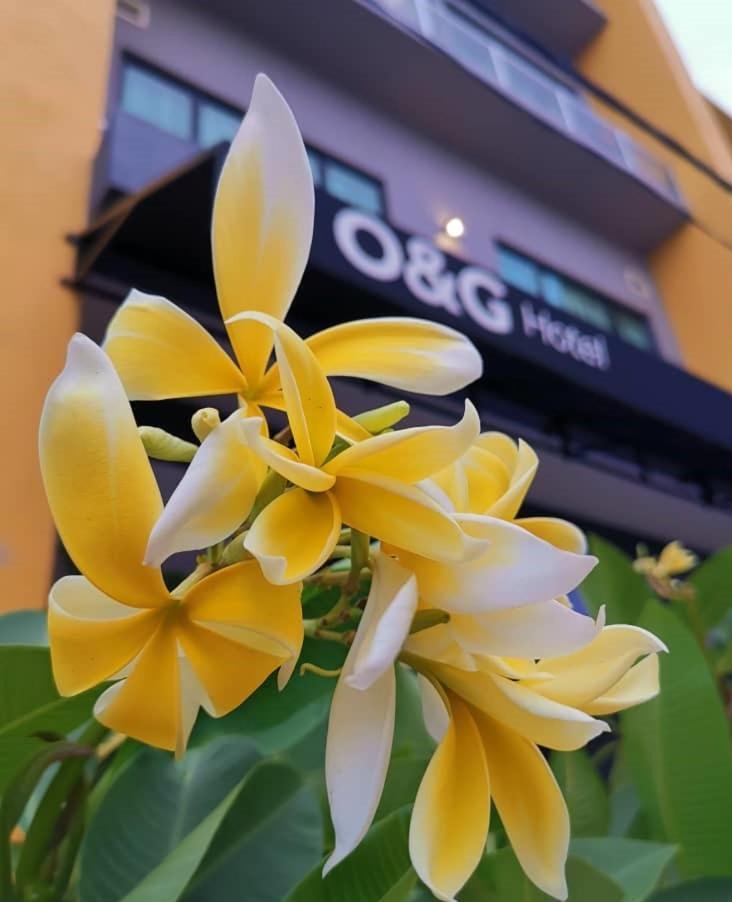 O&G Hotel Parit Buntar Esterno foto